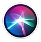 Siri Icon